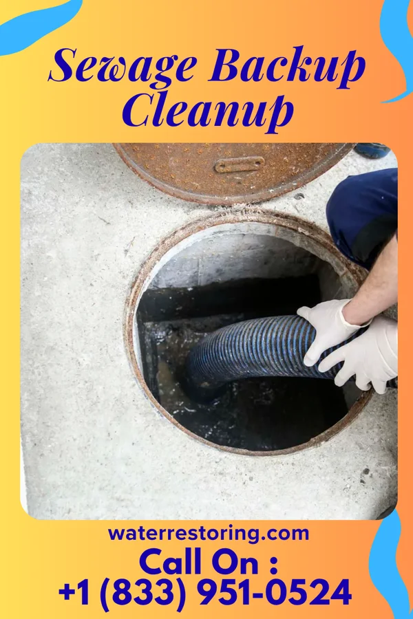 Sewage Backup Cleanup in Byron, NE