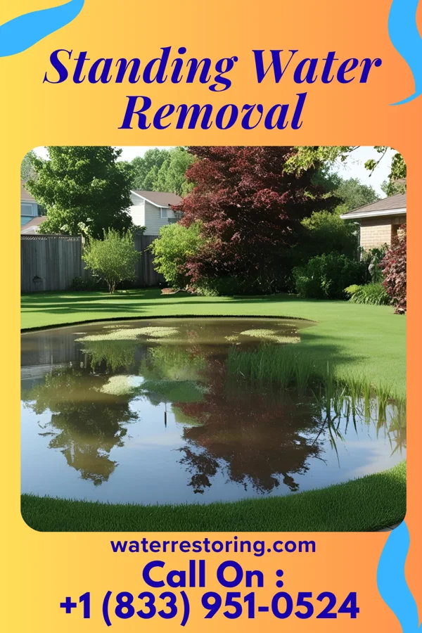 Standing Water Removal in Byron, NE